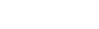 Barrette Surfboards